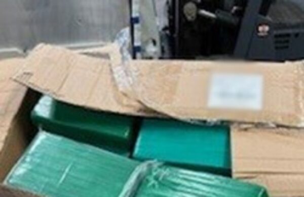 CBSA seizes 111 kg of suspected cocaine from commercial truck at Blue Water Bridge article image