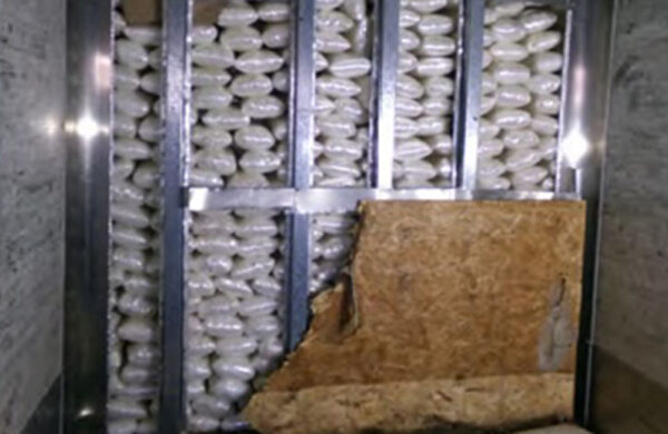 CBP seizes nearly $5M in meth hidden in tractor-trailer article image
