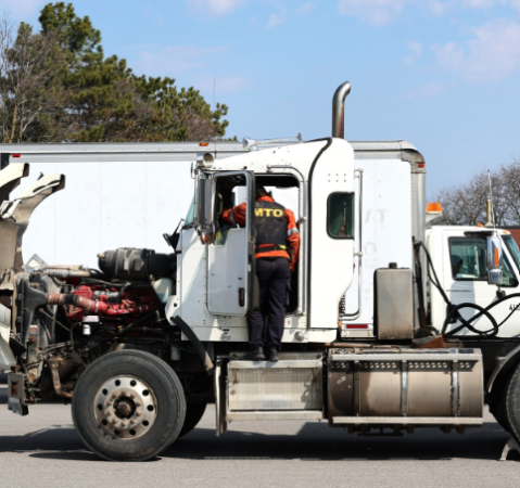 kingston blitz alternate text for this image