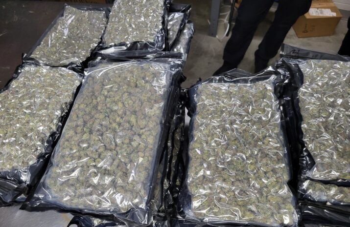 CBP seizes 1,600 lb. of marijuana from truck at Peace Bridge article image