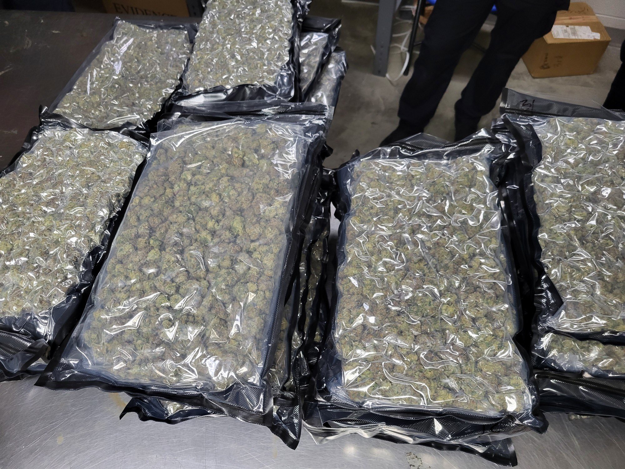 CBP seizes 1,600 lb. of marijuana from truck at Peace Bridge