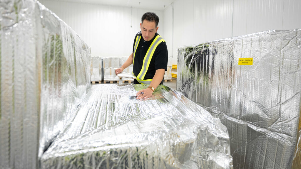 A person checking freight