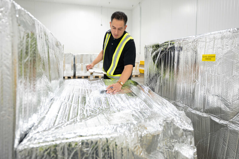 A person checking freight