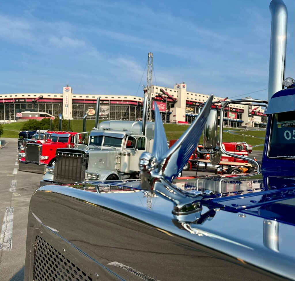 A hood ornament in the foreground as trucks as parked