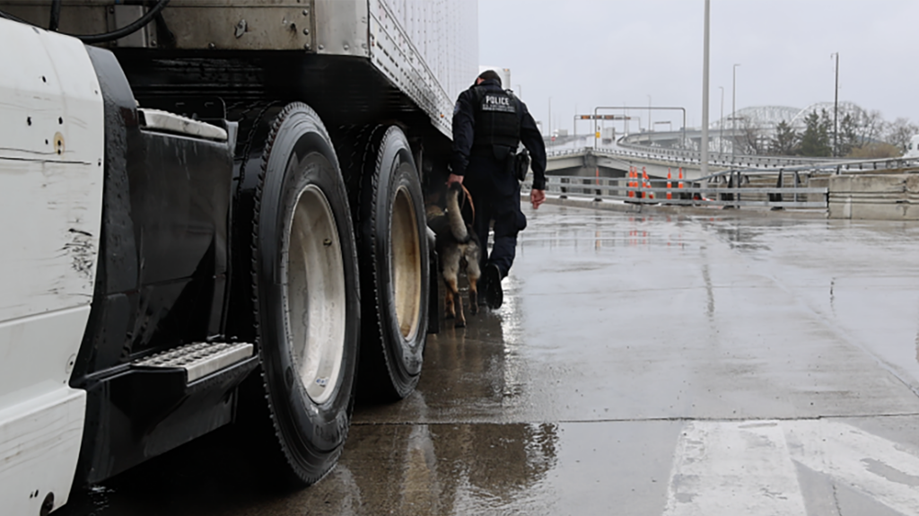 picture of drug inspection