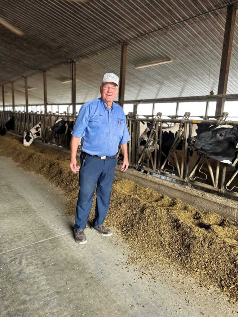 A driver inside a dairy farm with cows