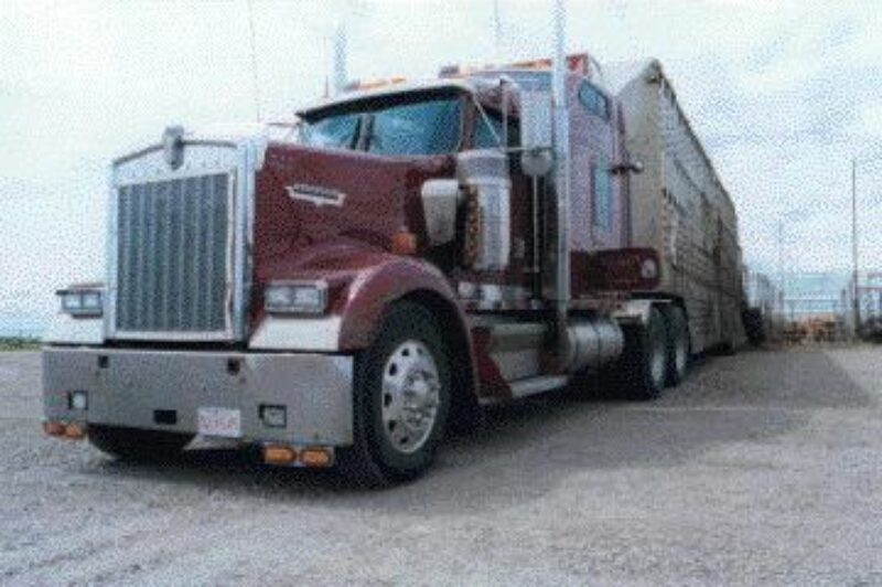 PARKED: Cattle haulers are feeling the impact of a single case of mad cow disease which prompted the U.S. to ban Canadian beef. Photo by James Menzies