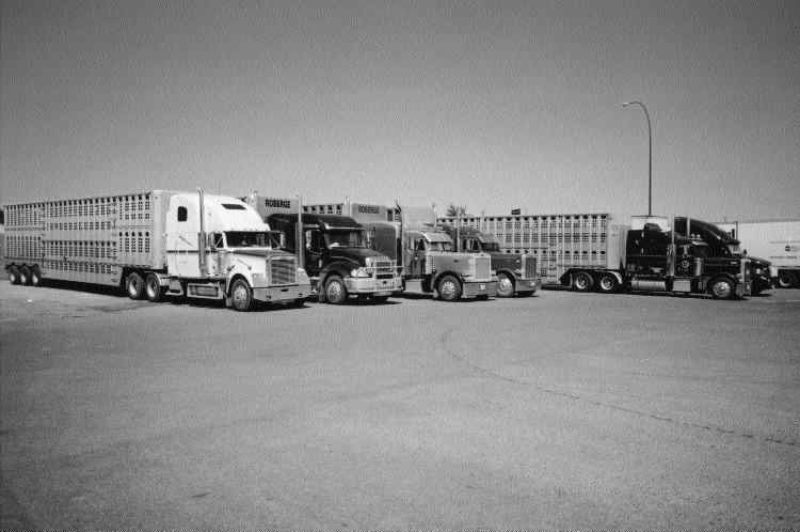 PARKED: Cattleliners have been parked in truck stop parking lots for weeks on end.Photo by James Menzies
