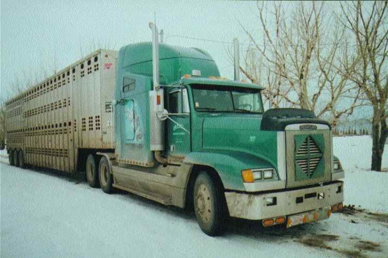 STILL WAITING: Cattle haulers such as Grace Cattle Carriers are anxiously awaiting the re-opening of the U.S. border to live cattle.Photo by James Menzies