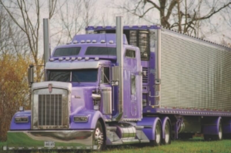 CULTURED TRUCK: This Kenworth W900L is now being showcased in France, where it's creating a lot of interest.