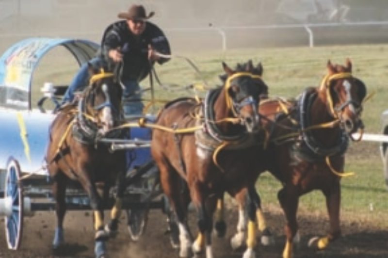 NO SPEED LIMITERS: Mitch Sutherland's trucking business helps fund another form of horsepower -chuckwagon racing.