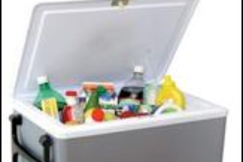 Koolatron reminds customers of the benefits of its 12 volt travel cooler article image