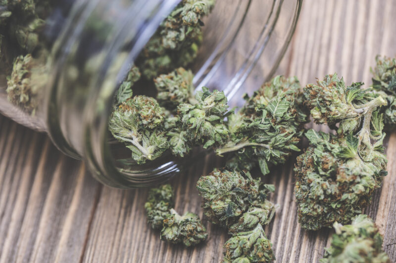 MTO gives update on impaired driving article image