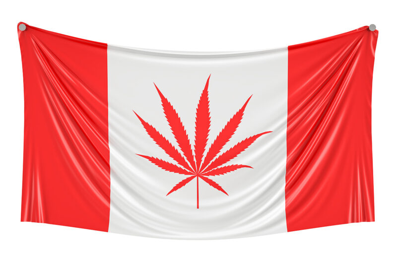 Ontario truck drivers to face zero tolerance approach to pot article image