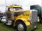 T 31 alternate text for this image