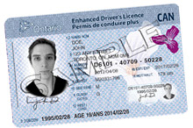 PMTC Launching Driver's License Verification Service article image