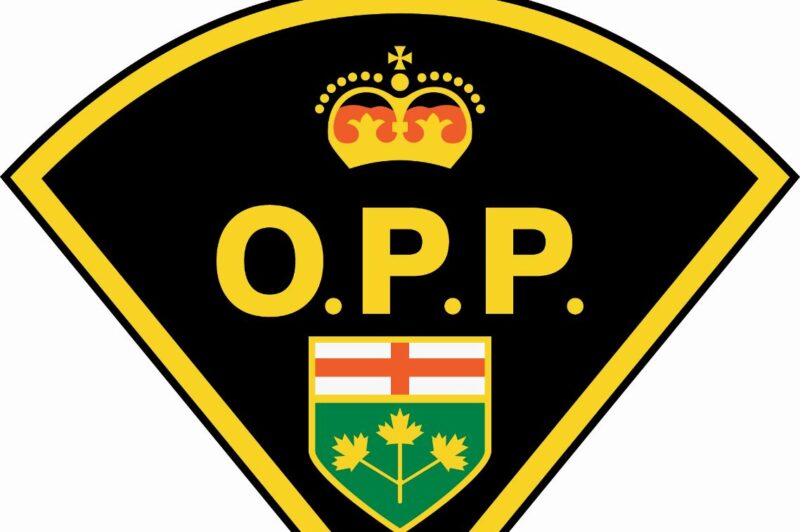 OPP Logo