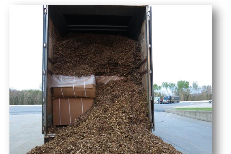 Tobacco