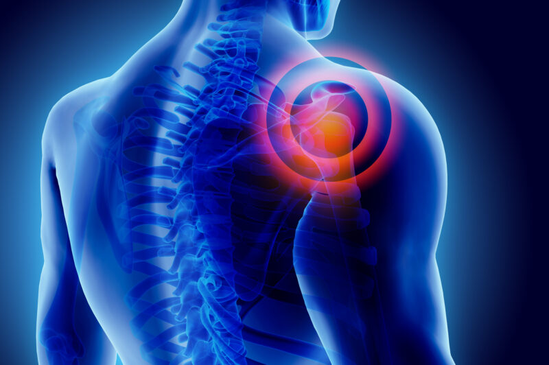 Truckers face heightened risk of musculoskeletal disorders article image