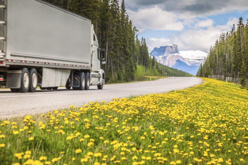 Alberta highway