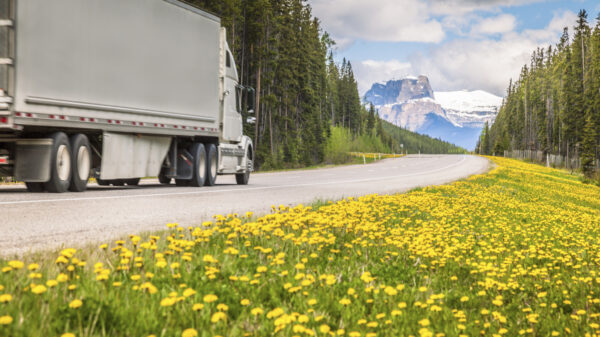 Truck in Jasper National Park Alberta