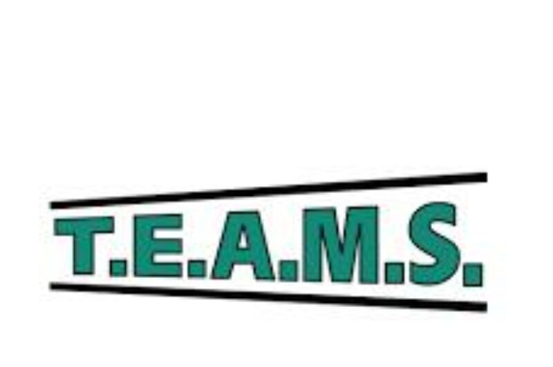 2025 TEAMS Transport article image