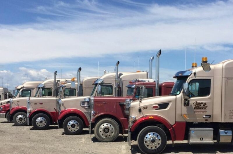 Picture of trucks