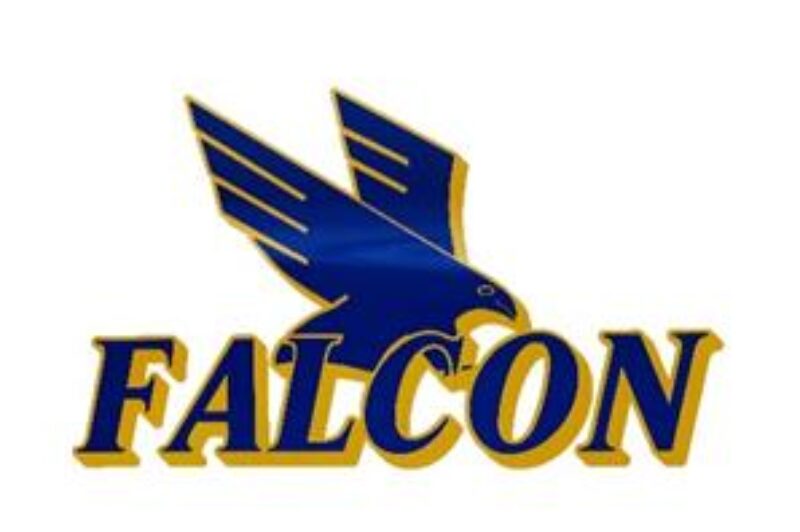 UPDATED: Falcon Xpress exits receivership article image