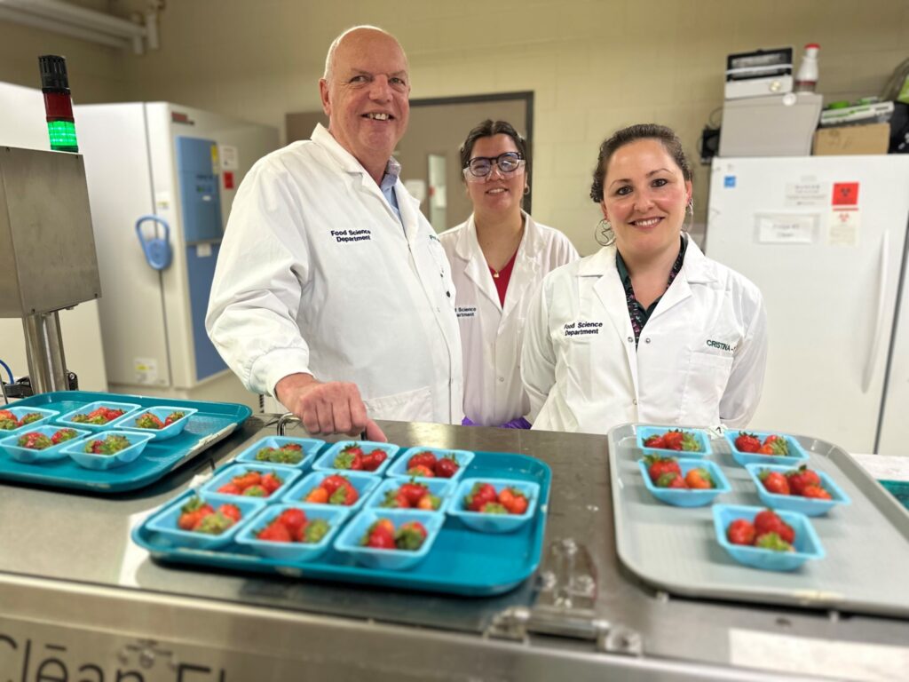 People with lab coats and strawberries