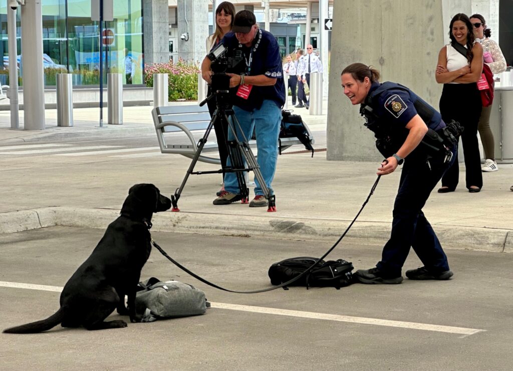 Sniffer dog in action