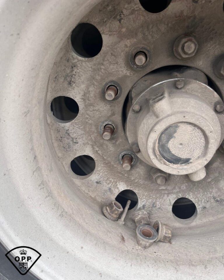 Alberta truck driver, carrier face numerous charges after Ontario ...